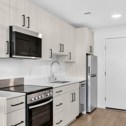 Modern kitchen with designer finishes